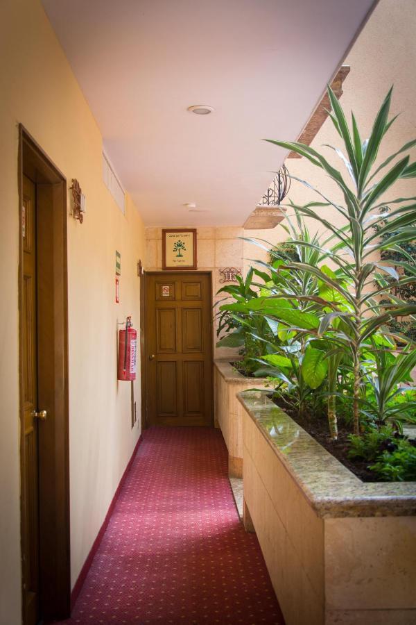 Hotel Santa Maria Città del Messico Esterno foto