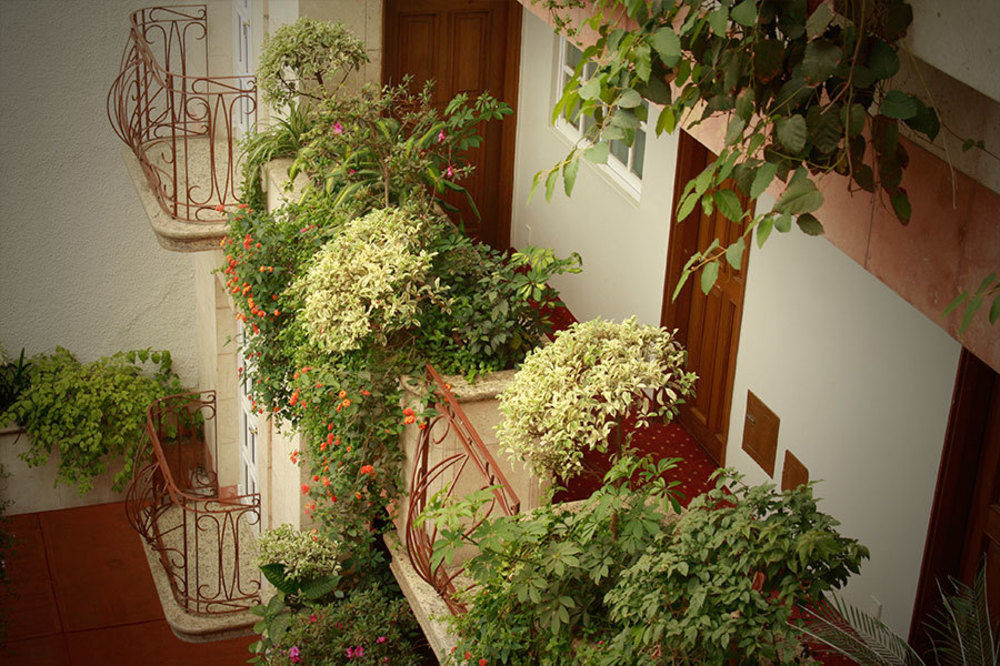 Hotel Santa Maria Città del Messico Esterno foto